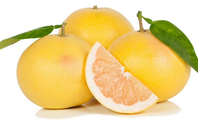 心と体を元気にする 柑橘系 のアロマオイル アロマライフスタイル