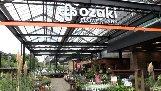 都内最大級の人気園芸店 オザキフラワーパークでお買い物 魅力的なグリーンの宝庫 アロマライフスタイル